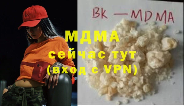 spice Бородино