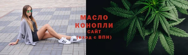 spice Бородино