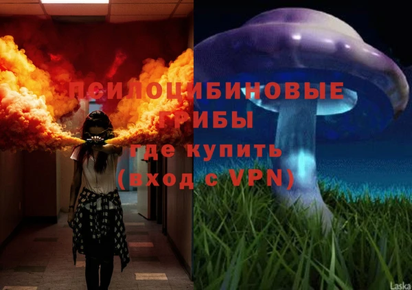 мяу мяу мука Богданович