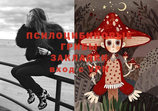 наркотики Богородск