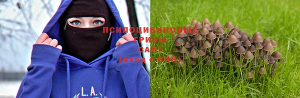 дурь Богородицк