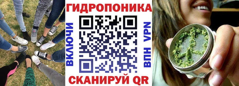 Бошки Шишки планчик  Котельниково 